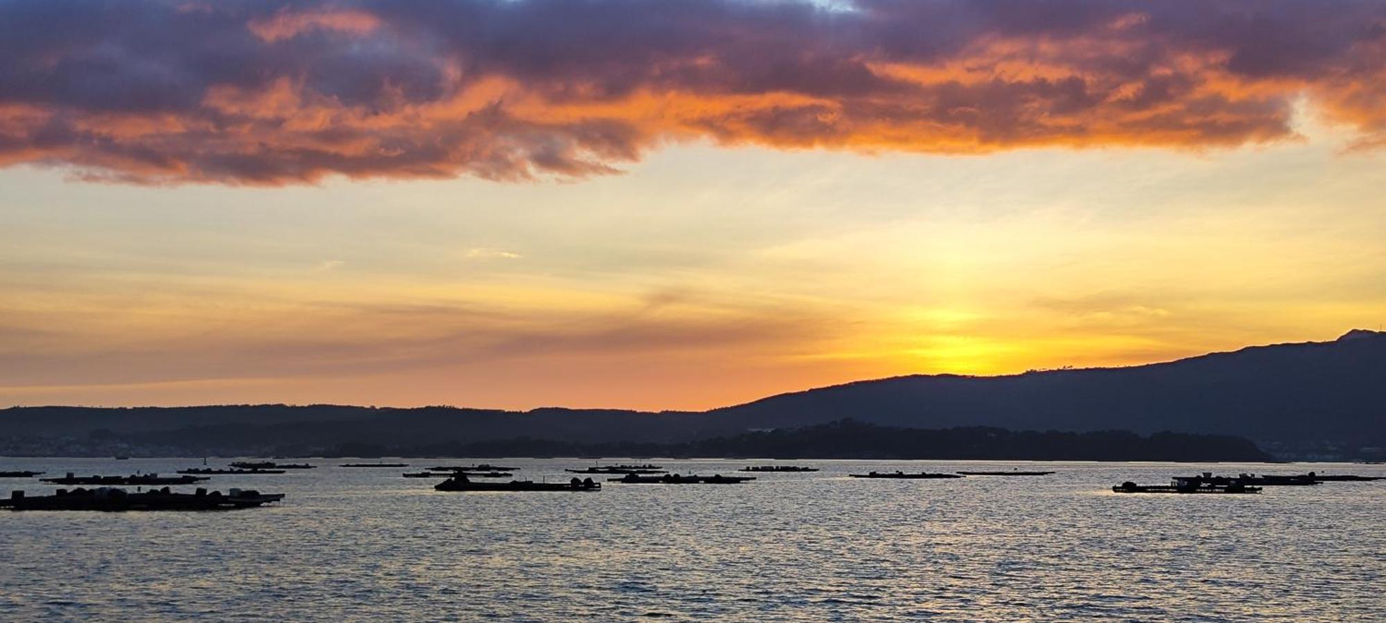 Apartamento El Rincon De Elia, Haz Realidad Tu Sueno De Vivir Con Vistas Al Mar Vilanova de Arousa Exterior foto