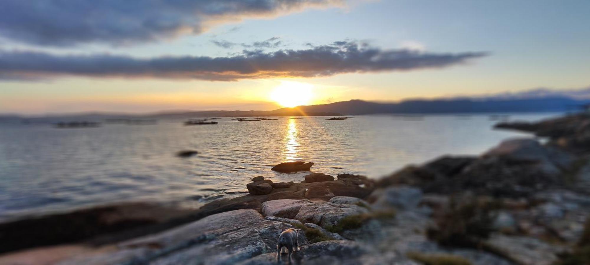 Apartamento El Rincon De Elia, Haz Realidad Tu Sueno De Vivir Con Vistas Al Mar Vilanova de Arousa Exterior foto