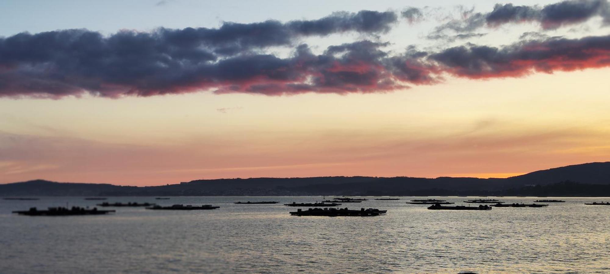 Apartamento El Rincon De Elia, Haz Realidad Tu Sueno De Vivir Con Vistas Al Mar Vilanova de Arousa Exterior foto